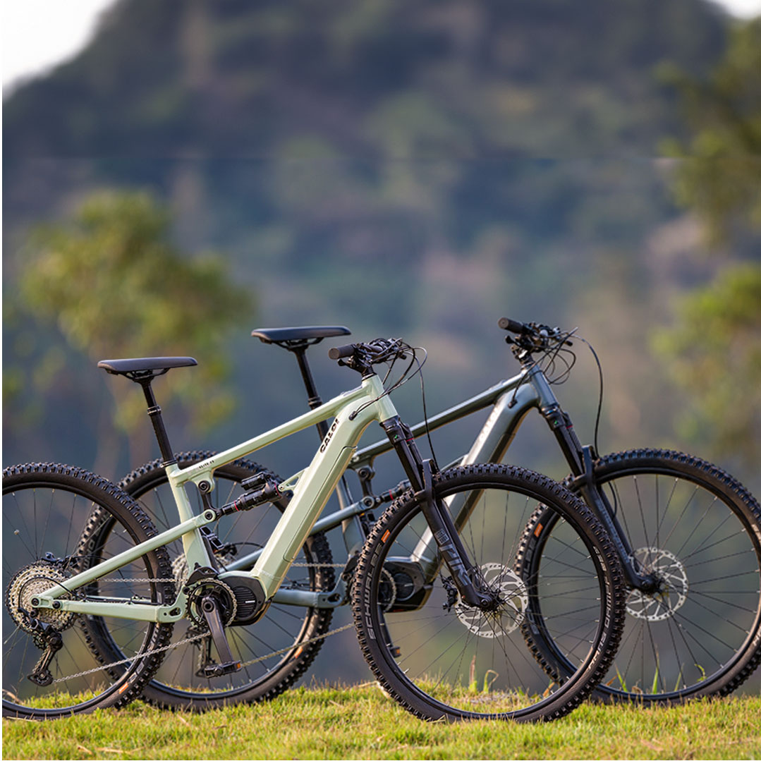 NOVO SEGURO GRATUITO CALOI: SEGURANÇA SEM FRANQUIA, LIBERDADE SEM CUSTO