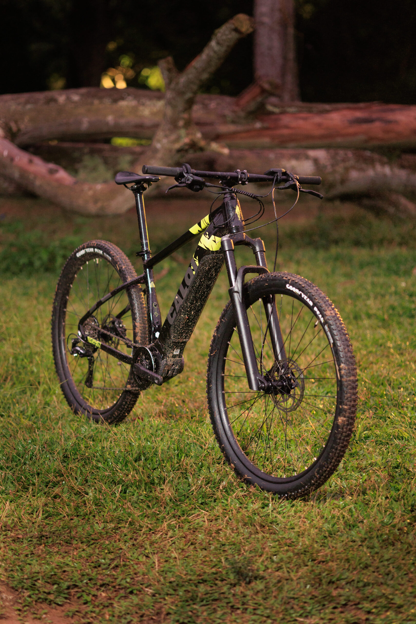 Vai comprar uma bike elétrica? Tudo o que você precisa saber antes de decidir